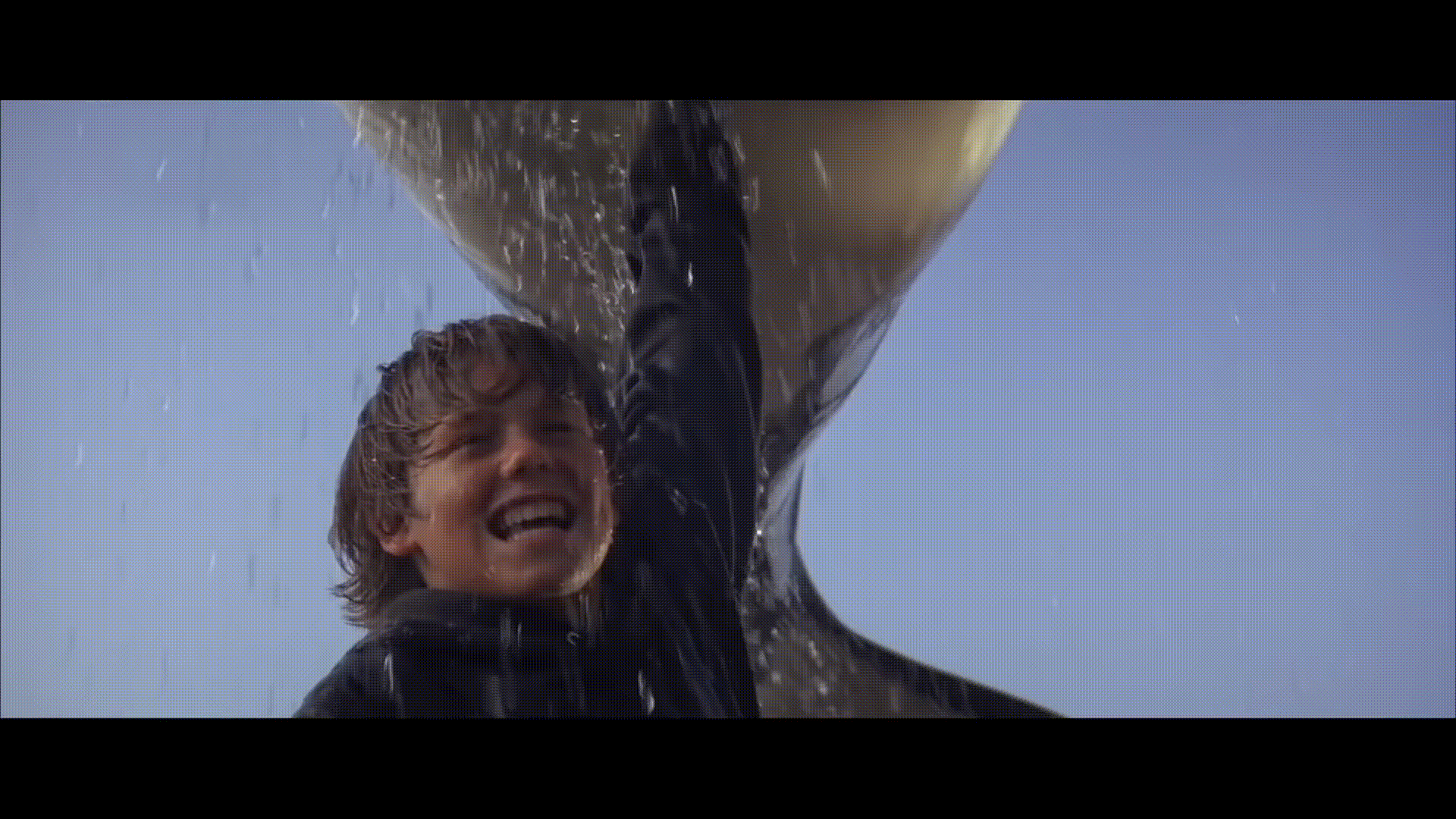 A gif from the movie Free Willy showing the whale jumping to freedom
