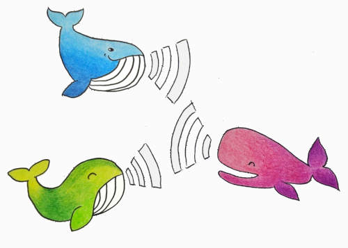 3 cartoon whales, a blue (Betty) and green (Harriet) on the left, a pink (Wanda) on the right