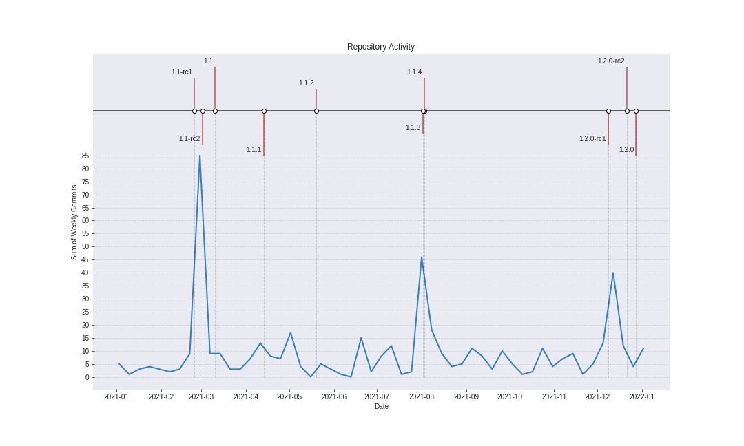 Repository Activity 2021